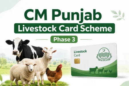 CM Punjab Livestock Card Scheme Phase 3 (2026) – Complete Guide for Farmers cm punjab livestock card scheme phase 3
