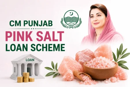 CM Punjab Pink Salt Loan Scheme 2026: Apply Online Guide cm punjab pink salt loan scheme