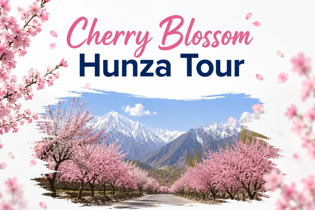 Cherry Blossom Hunza Tour 2026 – A Complete Travel Guide cherry blossom hunza tour