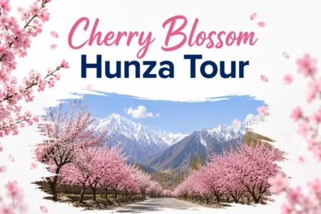 Cherry Blossom Hunza Tour 2026 – A Complete Travel Guide cherry blossom hunza tour